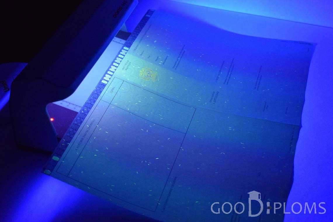 Приложение к Диплому Магистра в Ультрафиолете в период c 2014 по 2025 год - Атырау