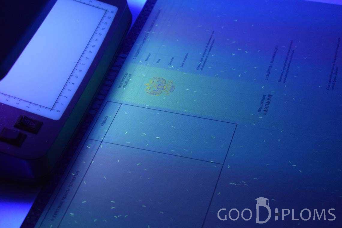 Приложение к Диплому о Высшем Образовании с Отличием в Ультрафиолете - Атырау